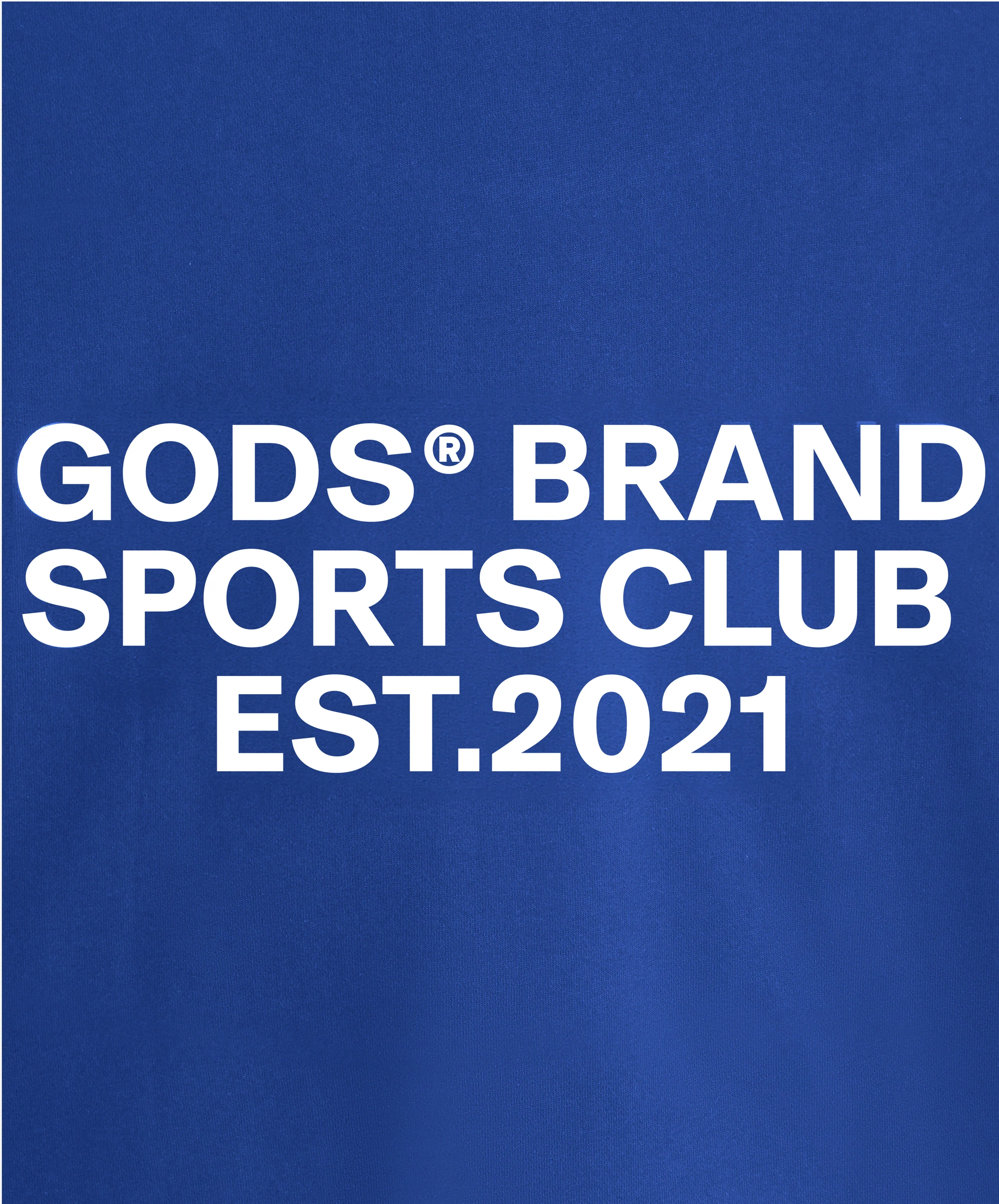 Gods® Brand Sports Club Hoodie Blue - Image 7