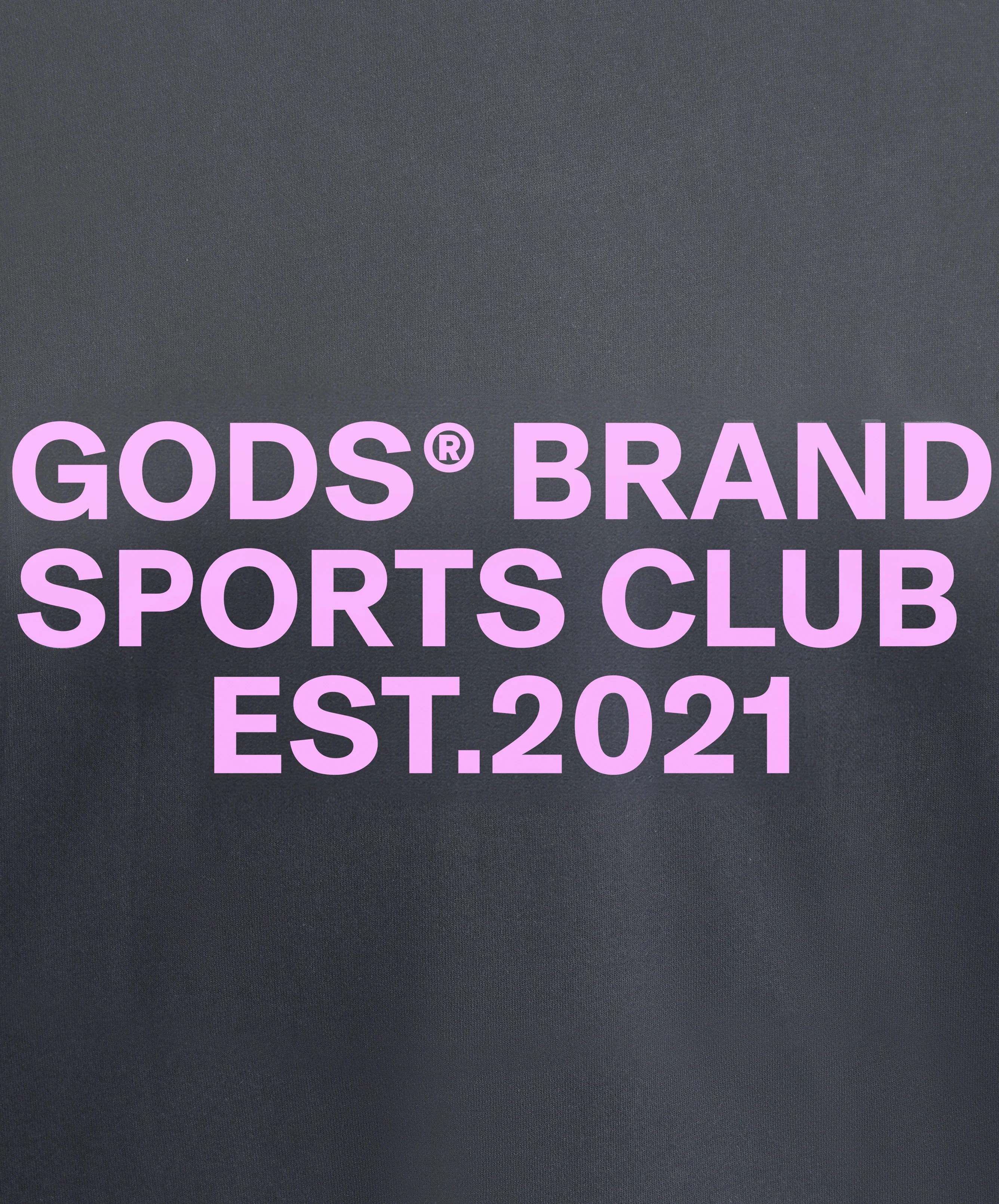 Gods® Brand Sports Club Hoodie Grey - Image 7