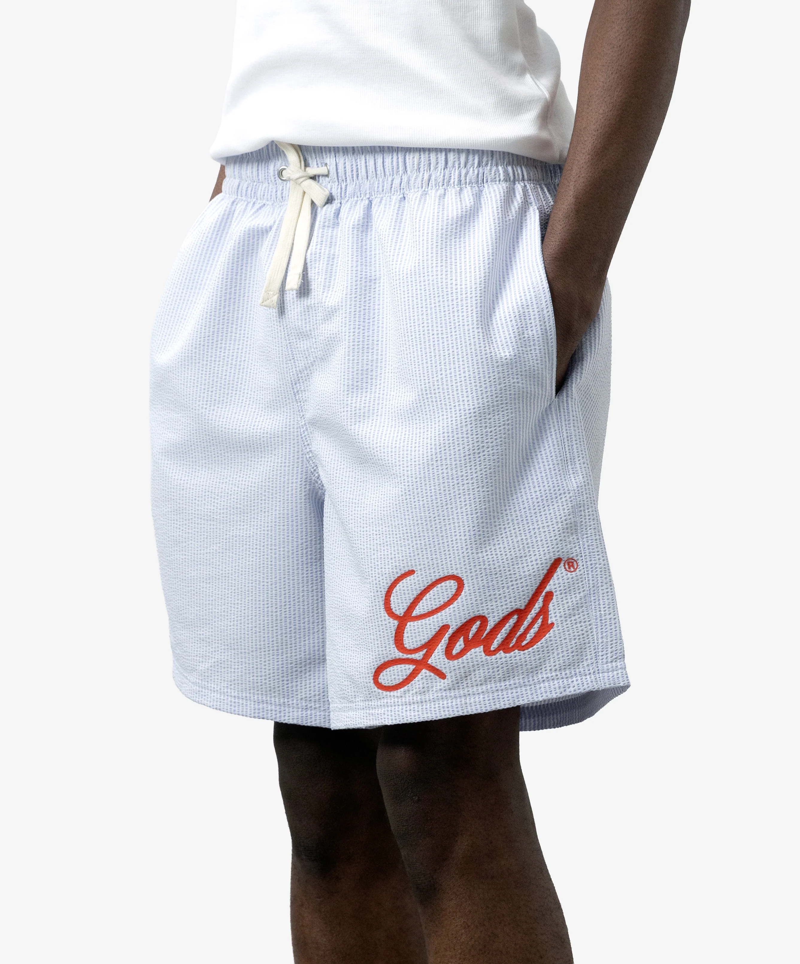 Gods Swimsuit Stripped Blue - Image 5