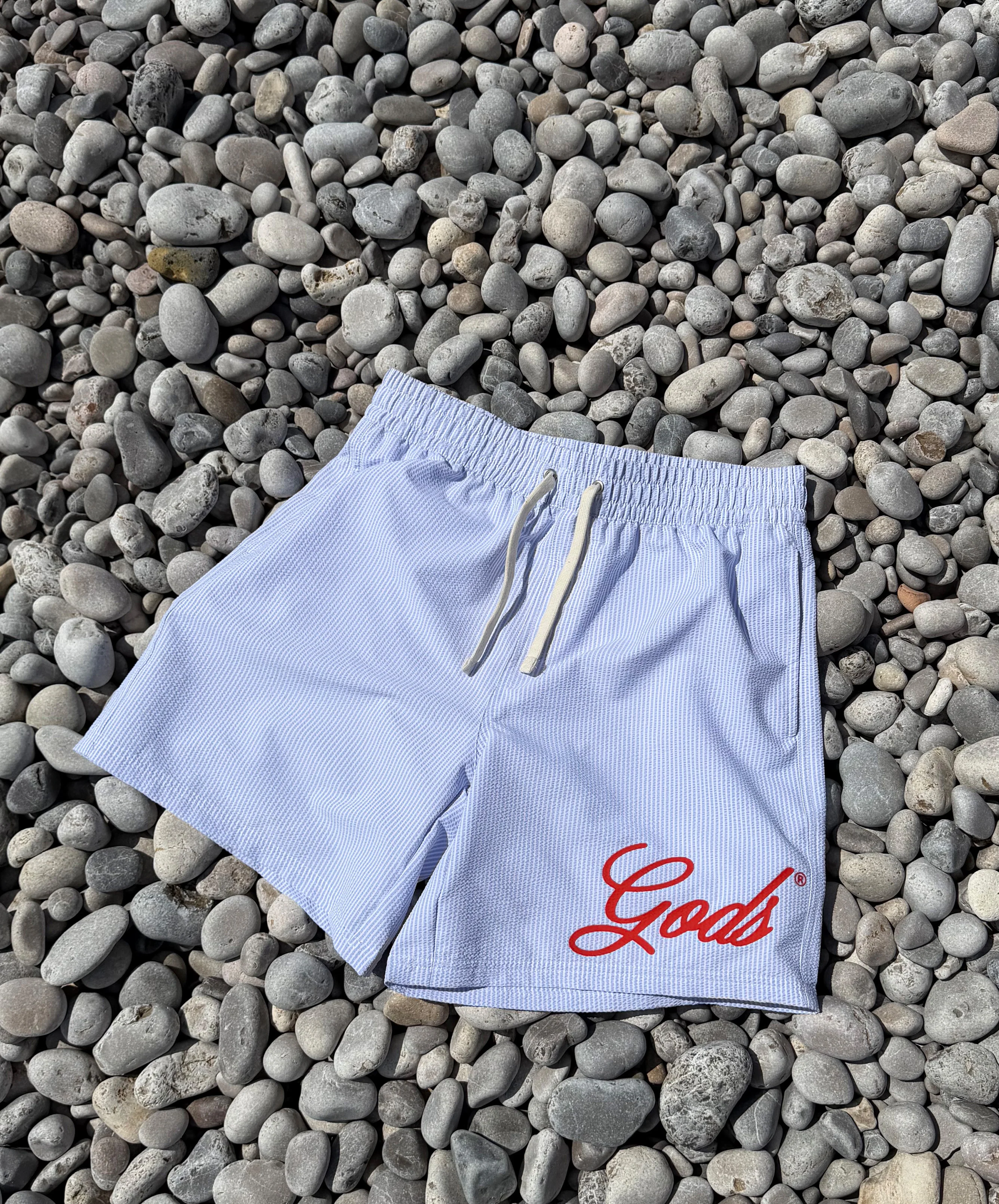 Gods Swimsuit Stripped Blue - Image 6